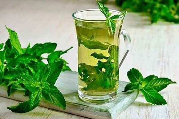 تصویر 3 از قیمت خرید عرق گیاهی نعناع + فروش ویژه